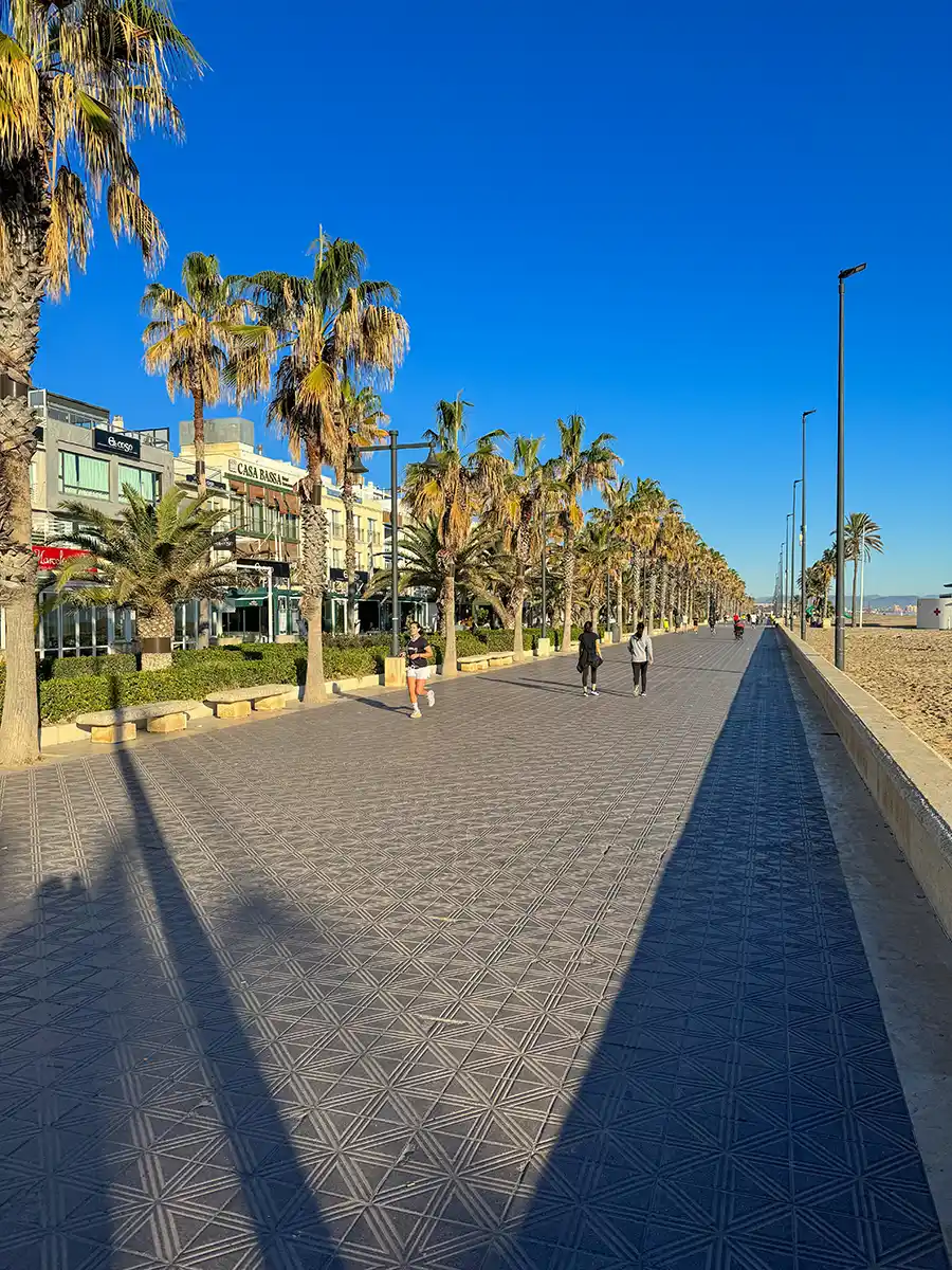 Eine breite, gepflasterte, von Palmen gesäumte Promenade, auf der die Menschen unter einem strahlend blauen Himmel spazieren gehen.