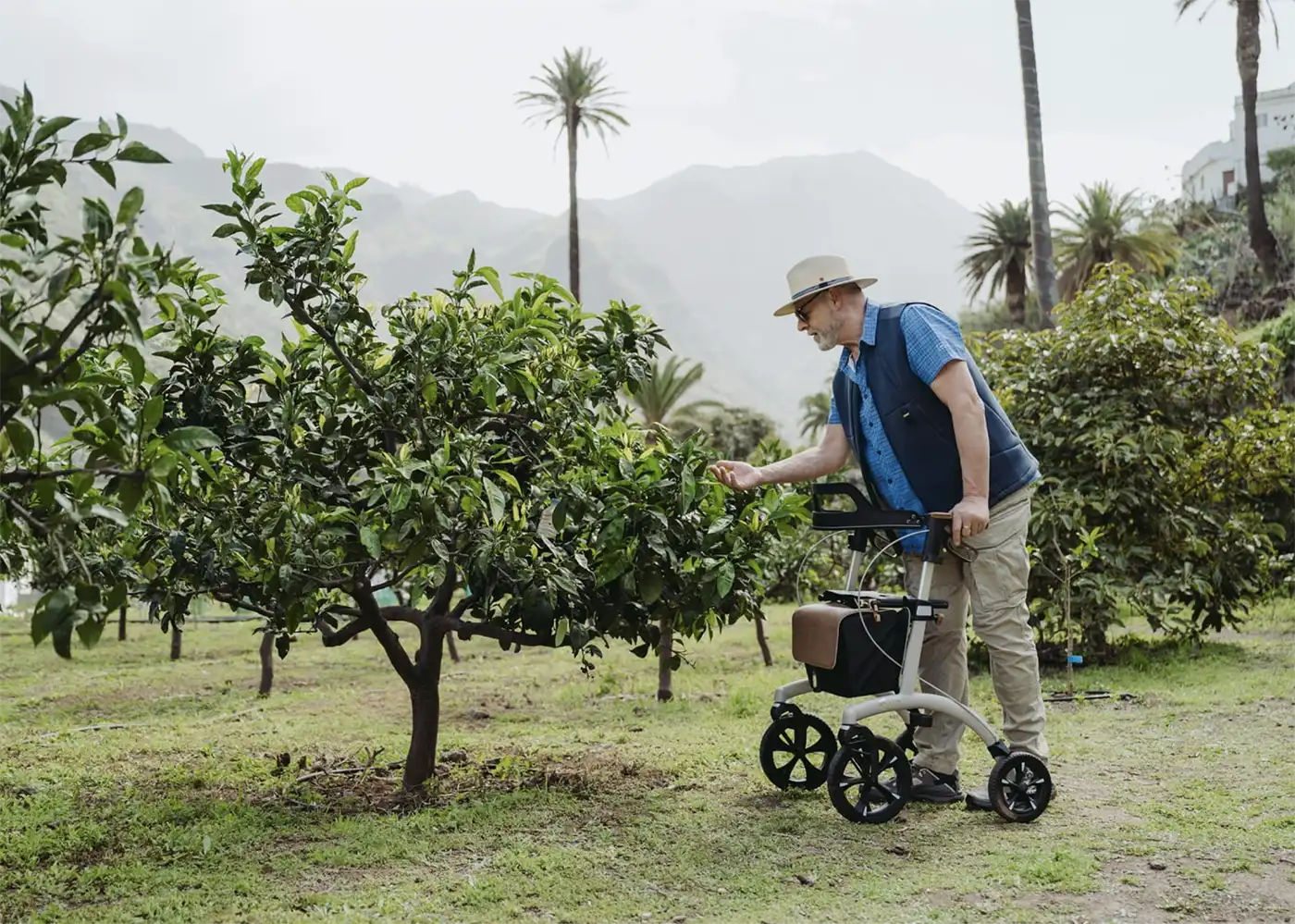 Saljol_Allround_Rollator_62_pearl-Grey Ein Mann mit einem Rollator begutachtet draußen einen Obstbaum und genießt die Freiheit auf vier Rädern in den Bergen.